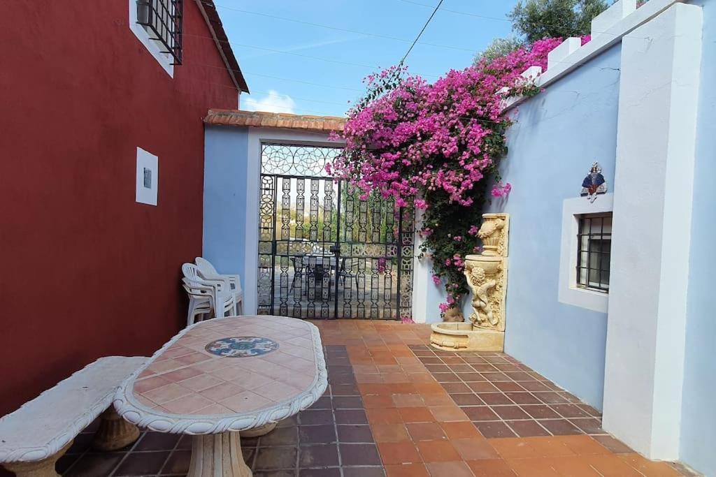 Villa Oasis De Ifre Caserío Cañada de Gallego Esterno foto