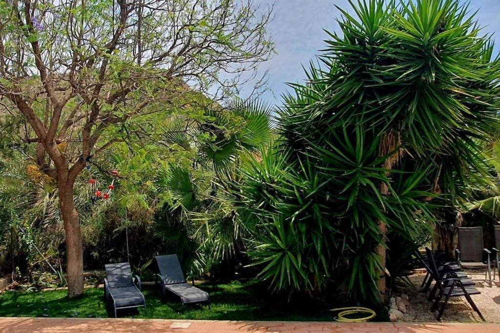 Villa Oasis De Ifre Caserío Cañada de Gallego Esterno foto