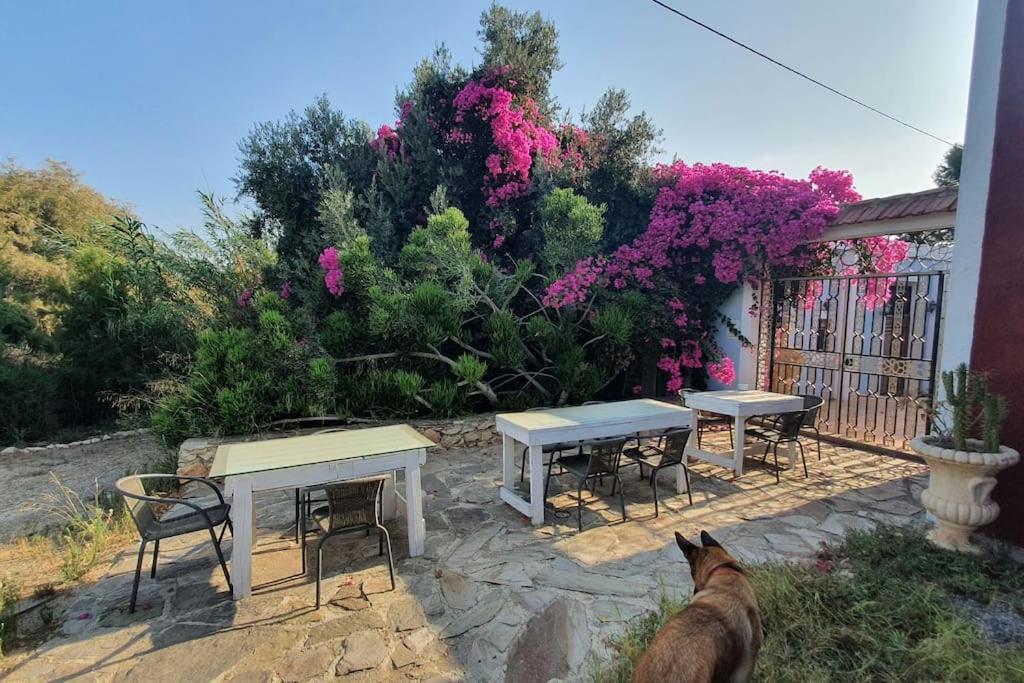 Villa Oasis De Ifre Caserío Cañada de Gallego Esterno foto