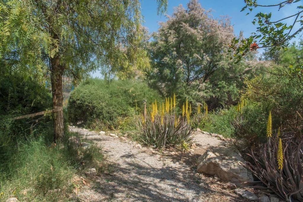 Villa Oasis De Ifre Caserío Cañada de Gallego Esterno foto