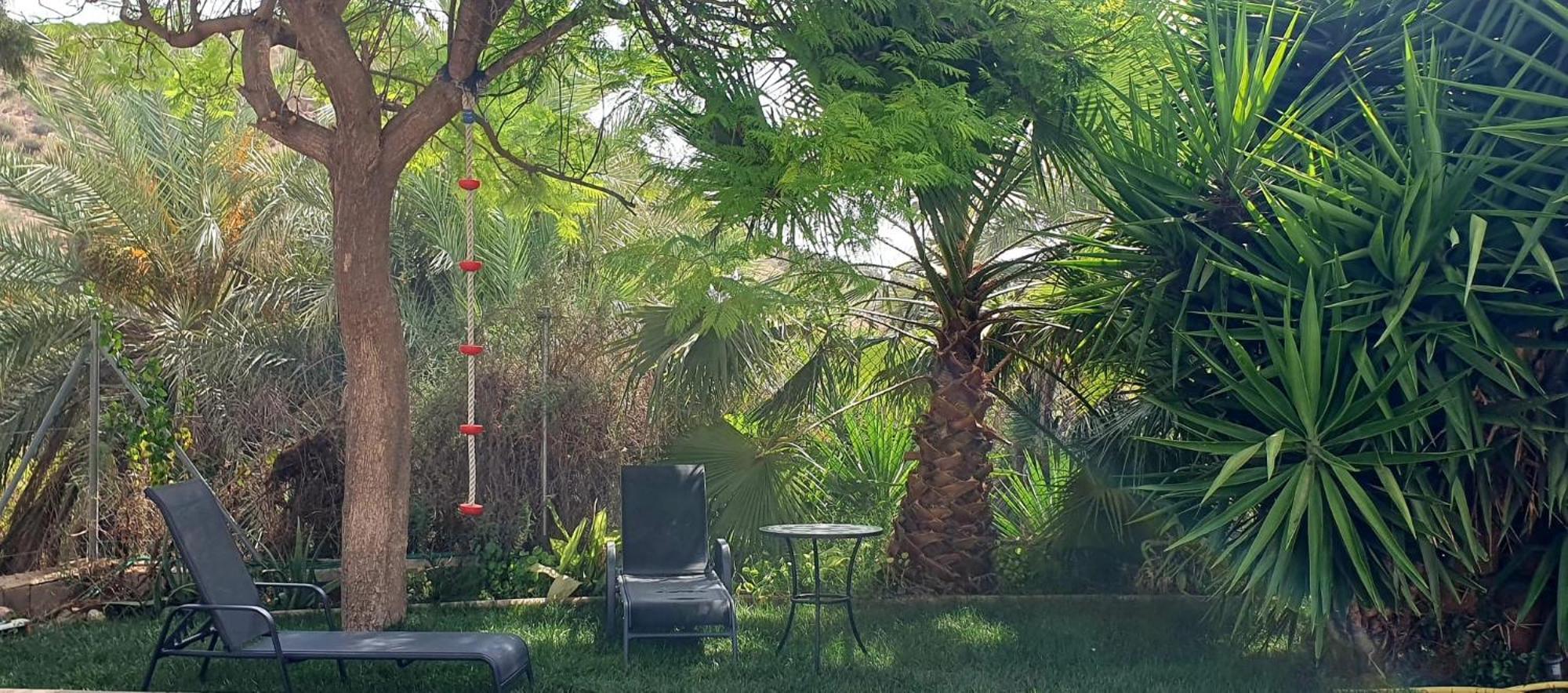 Villa Oasis De Ifre Caserío Cañada de Gallego Esterno foto