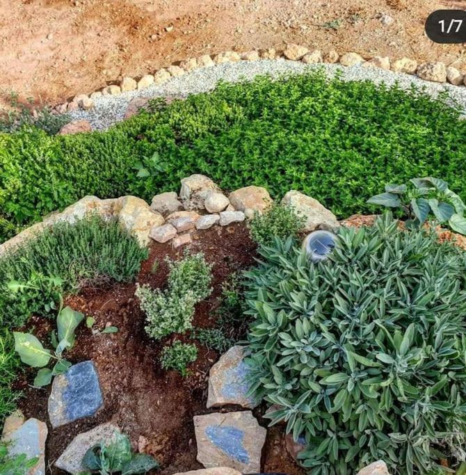 Villa Oasis De Ifre Caserío Cañada de Gallego Esterno foto