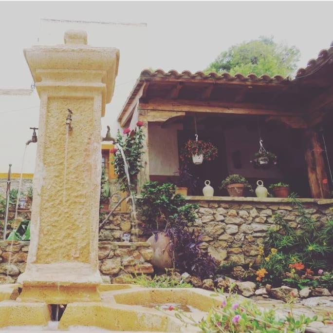 Villa Oasis De Ifre Caserío Cañada de Gallego Esterno foto