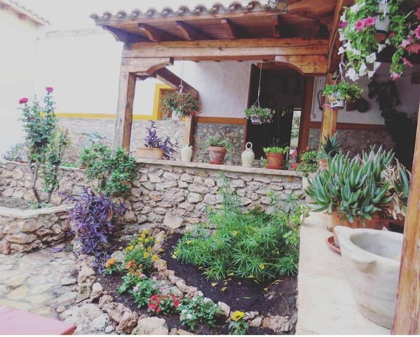 Villa Oasis De Ifre Caserío Cañada de Gallego Esterno foto